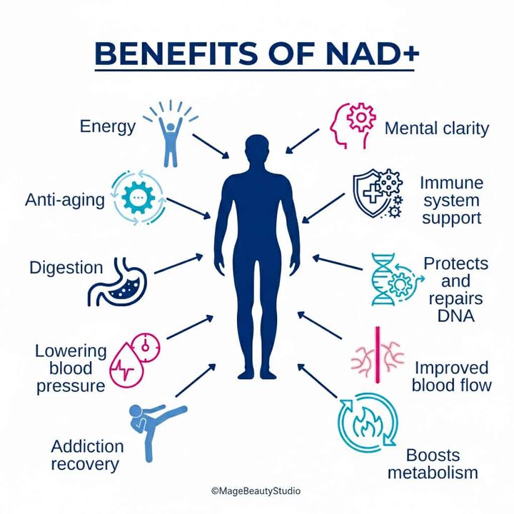Brain Fog, Fatigue and Aging: How NAD+ Fixes the Modern Burnout